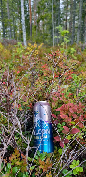 Skoter-skräp